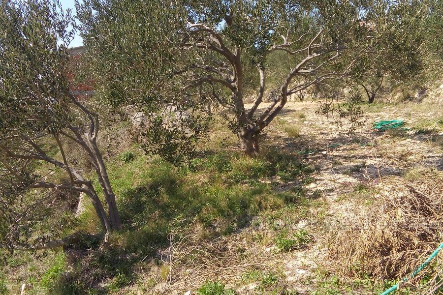 Podstrana - Stavební pozemek