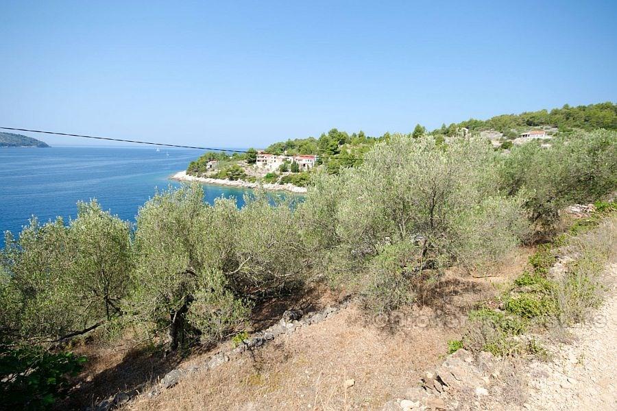 île de Korcula, terrain dans une baie tranquille