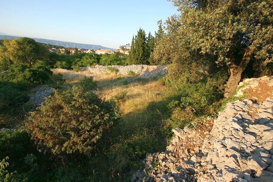 Ostrov Hvar, stavební pozemek