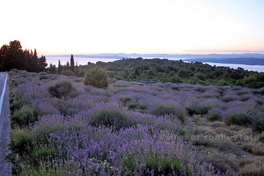 Ostrov Hvar, stavební pozemek