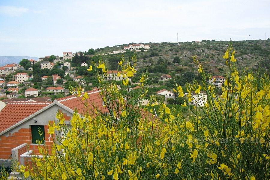 island of Brac - Building land