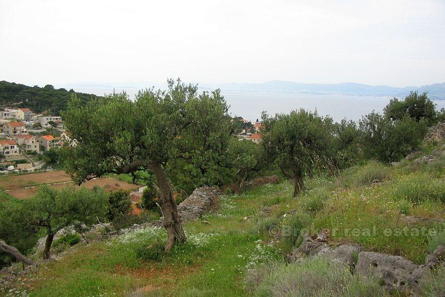ostrov Brač - Stavební pozemky