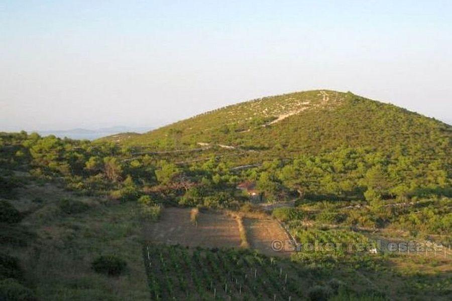 Island of Vis, agricultural land in an attractive location