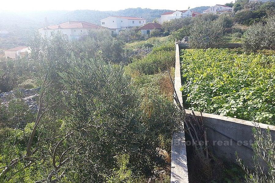 Ciovo, several building plots near the sea!