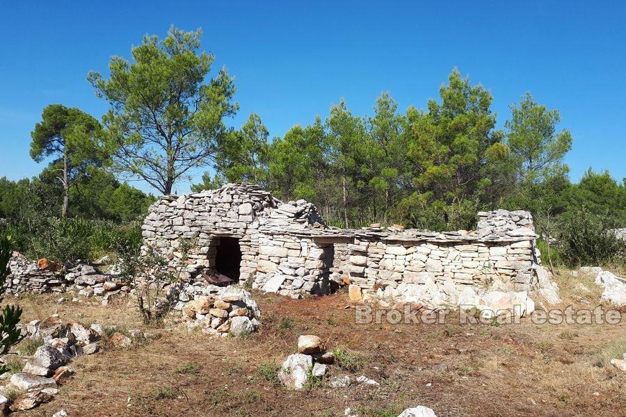 Île de Hvar - Terrain agricole avec une maison en pierre à reconstruire