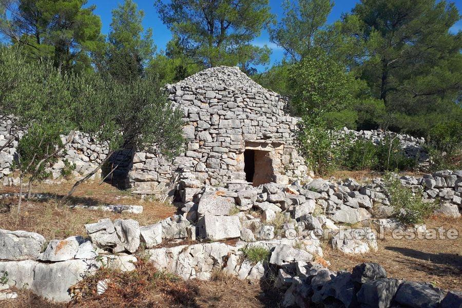 Île de Hvar - Terrain agricole avec une maison en pierre à reconstruire