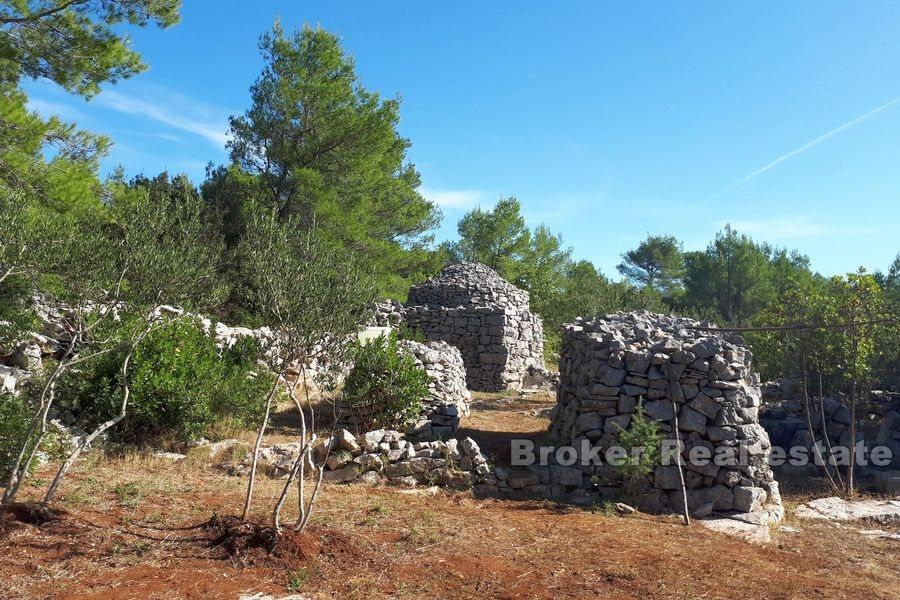 Île de Hvar - Terrain agricole avec une maison en pierre à reconstruire