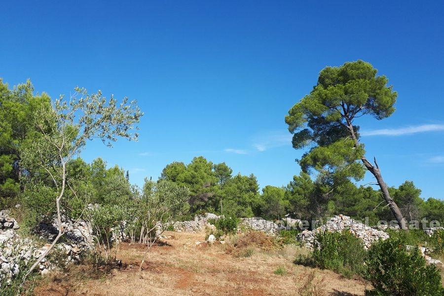 Île de Hvar - Terrain agricole avec une maison en pierre à reconstruire