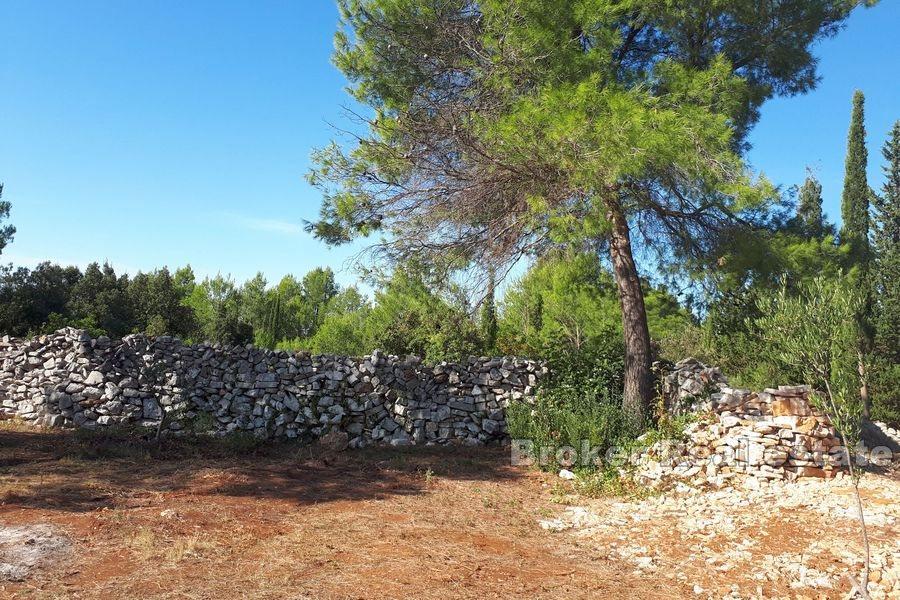 Île de Hvar - Terrain agricole avec une maison en pierre à reconstruire
