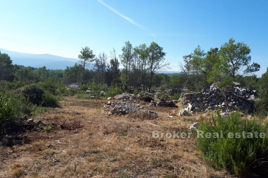 Île de Hvar - Terrain agricole avec une maison en pierre à reconstruire