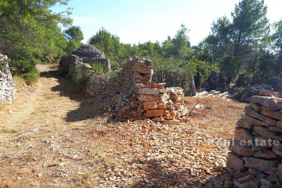 Île de Hvar - Terrain agricole avec une maison en pierre à reconstruire