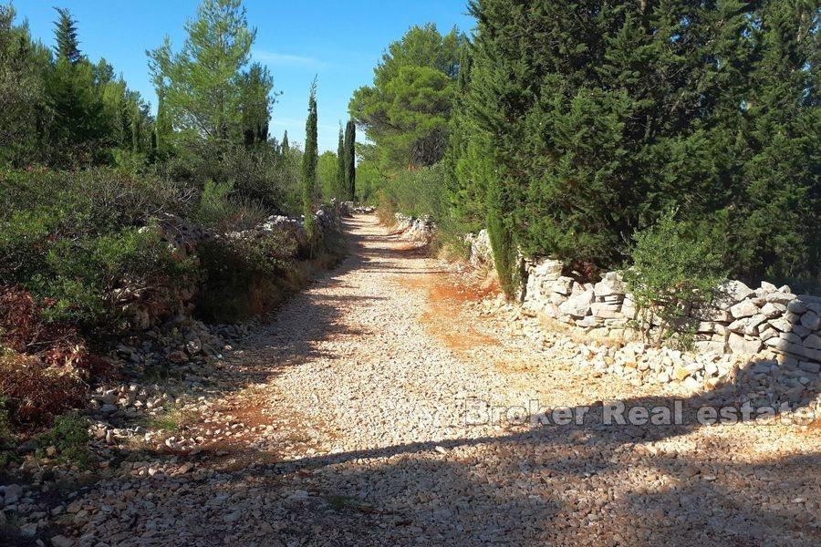 Île de Hvar - Terrain agricole avec une maison en pierre à reconstruire