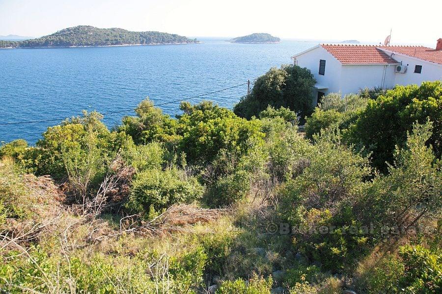 Île Korcula. Terrain à batir