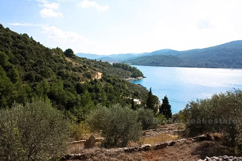 Île de Korcula, terrain à bâtir