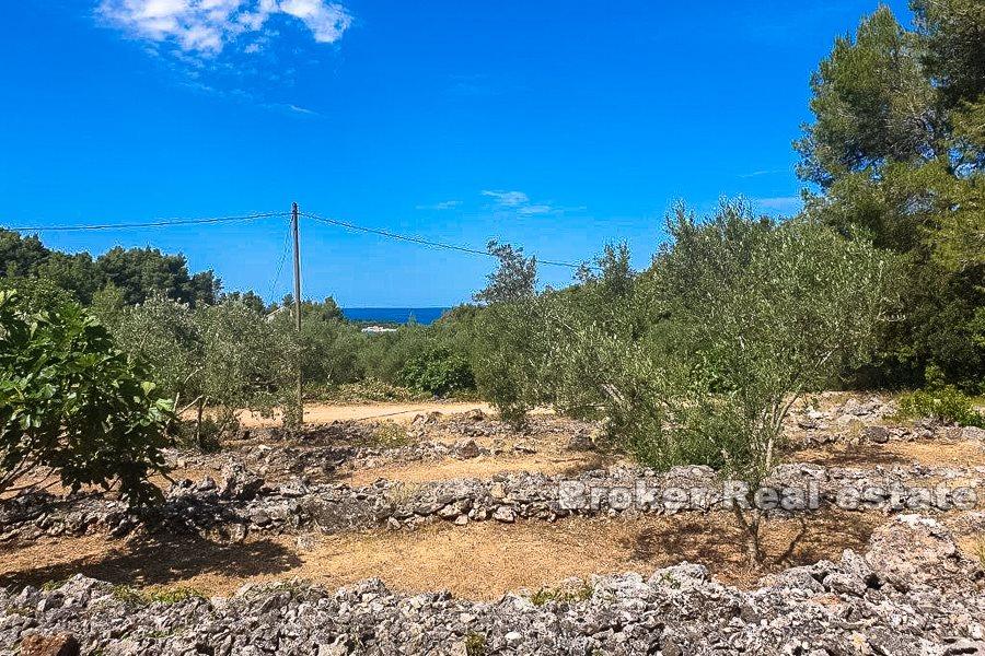 Ostrov Korčula, stavební pozemek s výhledem na moře