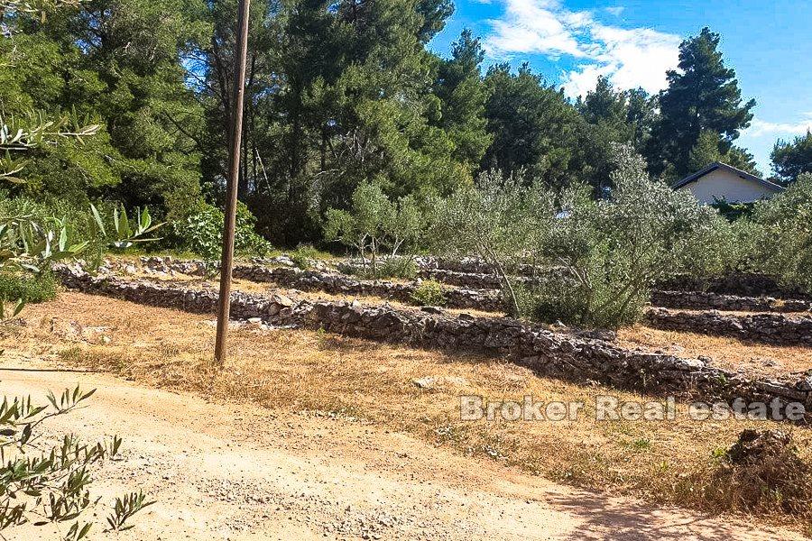 Øya Korcula, bygningstomt med havutsikt